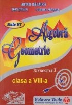 Algebra, Geometrie, Clasa a VIII-a - Semestrul I (2013)