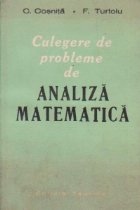 Culegere probleme analiza matematica