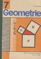 Geometrie, Manual pentru clasa a VII-a