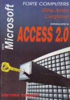 Introducere in Access 2.0