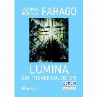 Lumina din intunericul ieri Roman