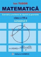 Matematica. Exercitii si probleme de algebra si geometrie, clasa a VII-a, semestrul II