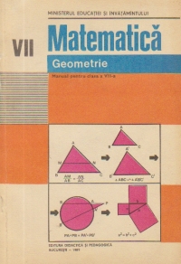 Matematica. Geometrie - Manual pentru clasa a VII-a