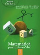 Matematica pentru clasa a VI-a, semestrul I (Clubul Matematicienilor, editia 2013)
