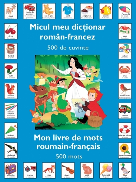 Micul meu dictionar Roman – Francez