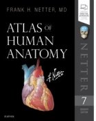 Netter Atlas of Human Anatomy. 7th Revised edition
