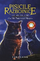 Pisicile Razboinice. Cartea XXXIV. Viziunea din umbre: Cea mai intunecata noapte (volumul 34)