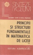 Principii si structuri fundamentale in matematica de liceu, Volumul al II-lea - Geometrie si trigonometrie