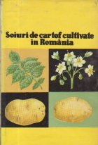 Soiuri cartof cultivate Romania