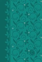 Tpt: New Testament (Compact) Teal
